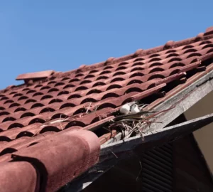 Couvreur qualifié à Montrouge pour réparation de toiture