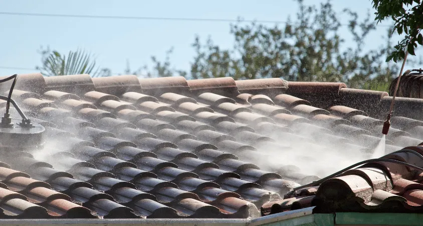 Démoussage et entretien de toiture